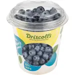 Blueberry Driscoll’s