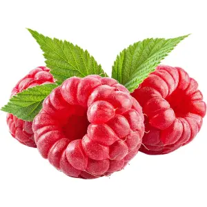 Raspberry