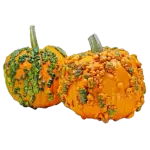 Warty Minion Pumpkin Halloween