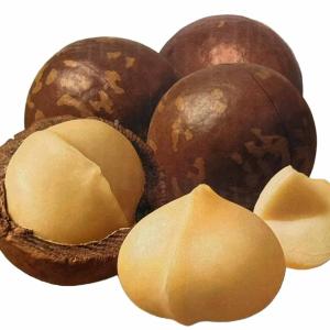 Macadamia Nut Coffee Flavor