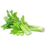 Celery