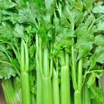 Celery