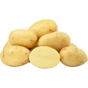 Maris Piper Potato
