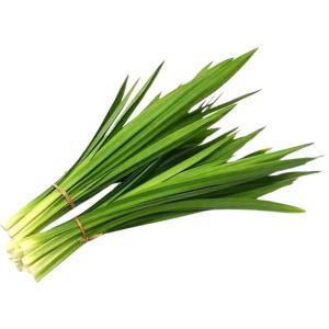 Pandan Leaves