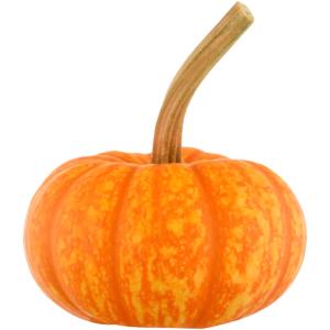 Sparkler Pumpkin Halloween